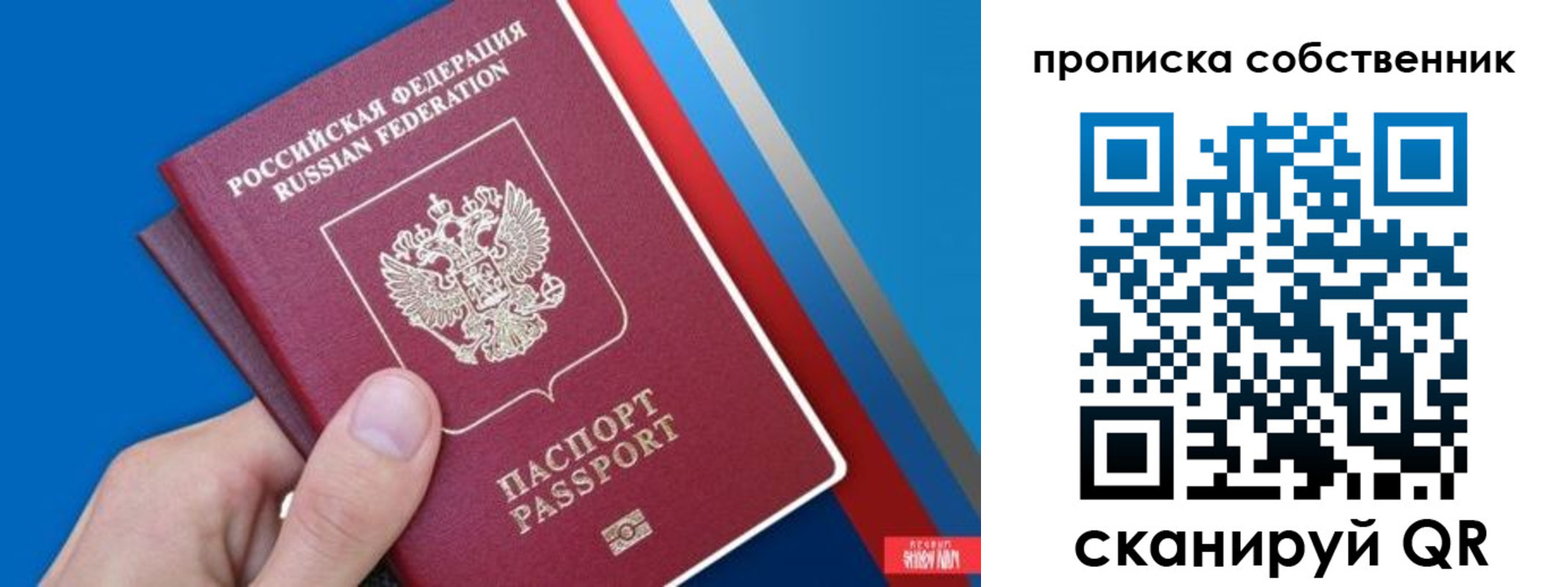 прописка в квартире в Бабаево
